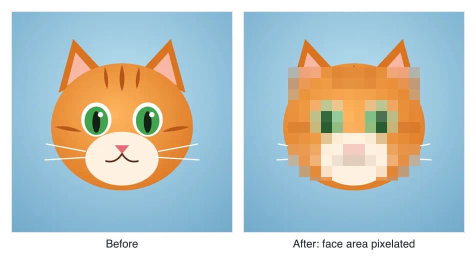 Pixelate image example: a cat portrait before and after, with the face area pixelated into large blocks