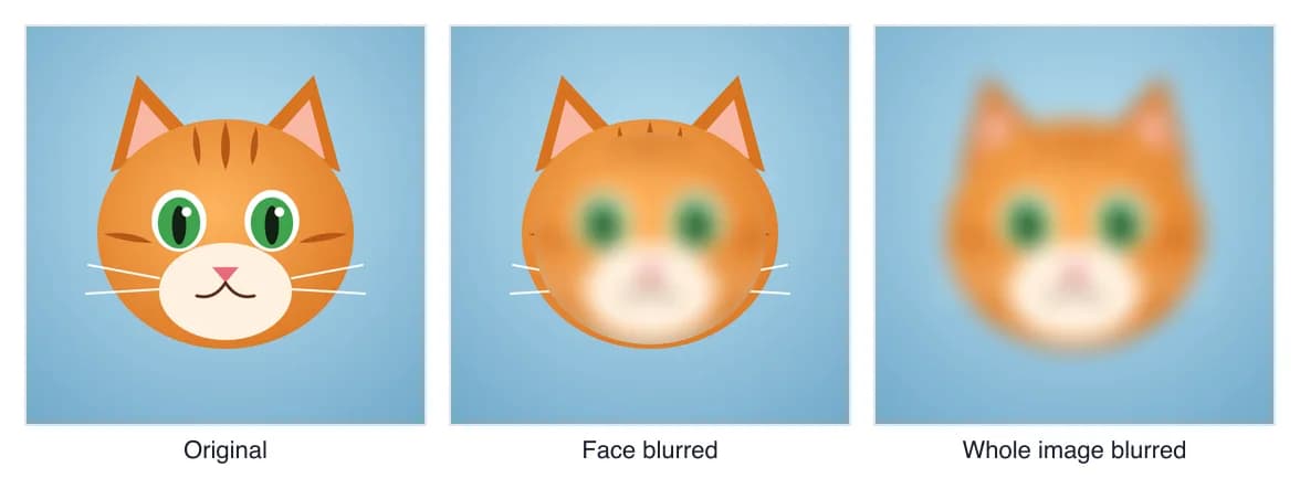 Blur image example: the original photo, the same photo with only the face blurred, and the whole image blurred